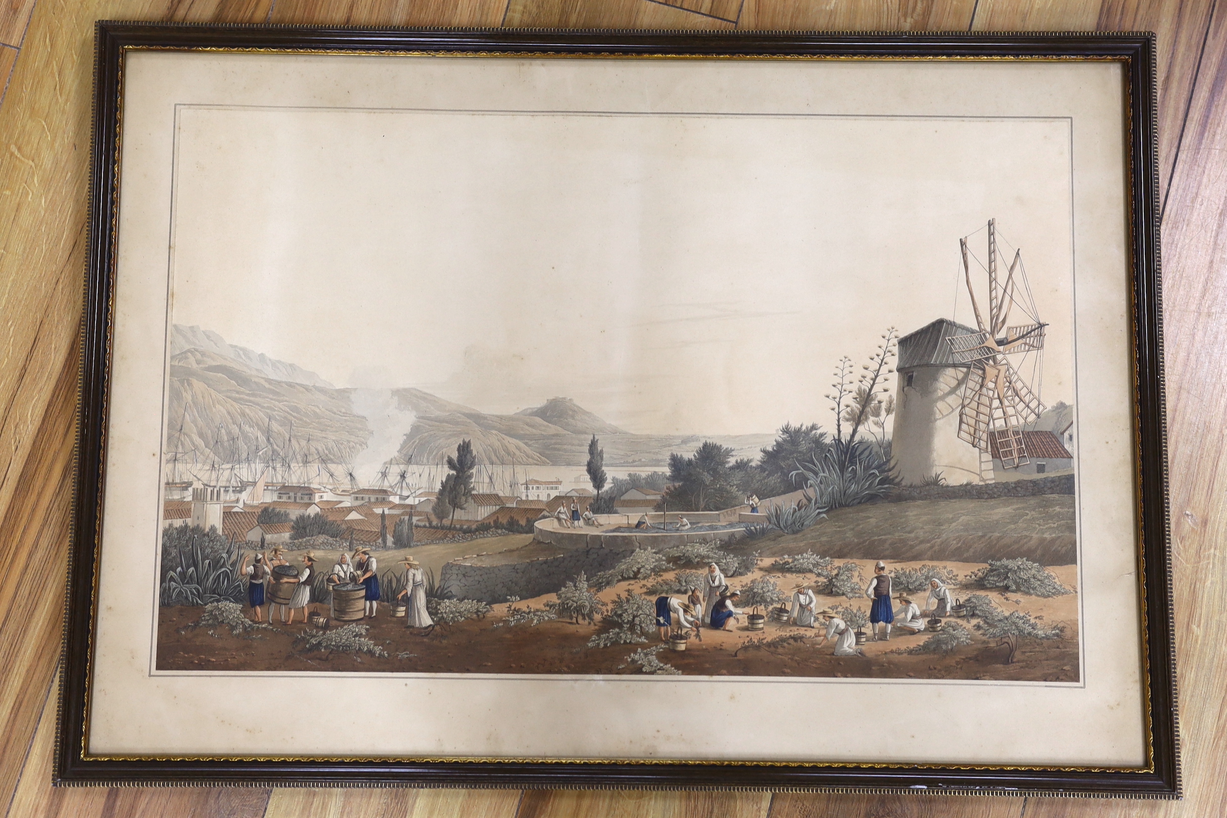 Havell after Cartwright (1789-1929), hand coloured aquatint, Town and harbour of Argostoli, (Cephallonia), from Views of the Ionian Islands, 1821, 38 x 60cm